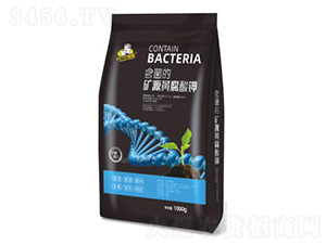 �����ĵVԴ�S�����-��˹��