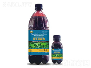 ΢�������-��˹��