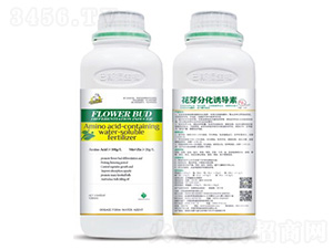 ��ѿ�ֻ��T��(d��o)��-��˹��