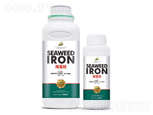 �����F-��˹��