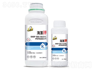 �����-��˹��