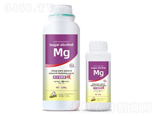 �ߝ�s�Ǵ��V-��˹��