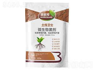 �����l(w��i)ʿ-΢�������-�ݶ��