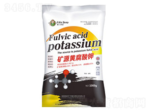 �VԴ�S�����-�۶�����