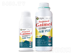 ���塤�}�V-��(��i)������