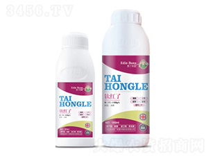 ⁼t��-��(��i)������