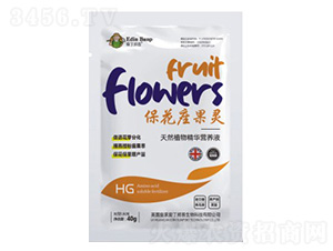 ���������`-�۶�����