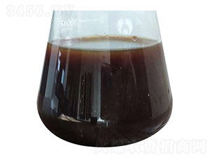 ΢�������-���^����