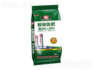 ���@����-��ꖜ�-�G���ʘI(y��)