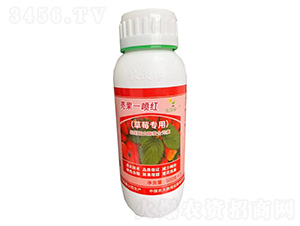 ��ݮ��������һ���t-�r(n��ng)�־G