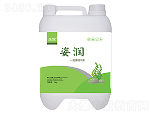 �˝�(r��n)���徫�A��-�������� 