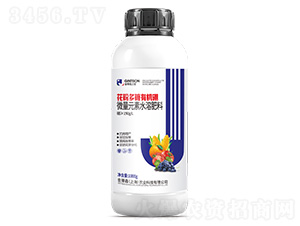 ���۶����ЙC��-���ɭ