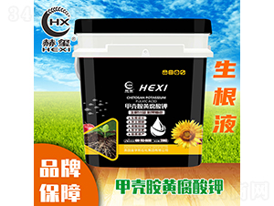 �ך����S�����-�խt