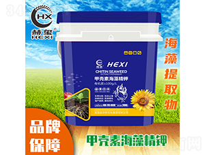 �ך��غ��徫�-�խt