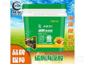 ̼ø������-�խt