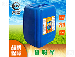 ����܊-�խt