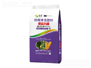 ���׌��ÿ�ጓ������24-11-10-�۹�����-ǧ�S�r(n��ng)�I(y��)