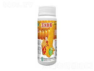 �����ָ�-���S�Ƽ�