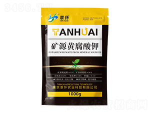 �VԴ�S�����-�����r(n��ng)�I(y��)