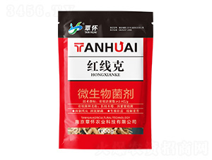 ΢�������-�t����-�����r(n��ng)�I(y��)