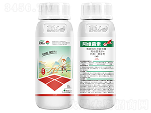 ���S����-��(zhu��n)�����Լt֩��-������