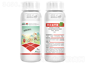 �K�ƽ�U��-�����������x(ch��ng)-������