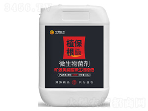 �VԴ�S���������ԭҺ΢�������-ֲ����-��Դ���r(n��ng)