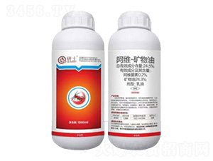 24.5%���S���V����-��������