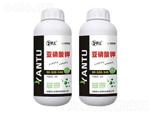 �������-��������