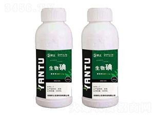 �����-��������