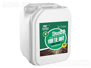 ������-(li��n)��μ�