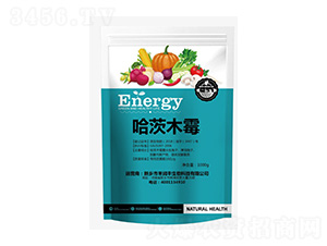 ����ľù-���r��