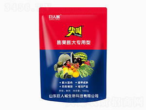 ���������͛_ʩ����-���-���˳�����