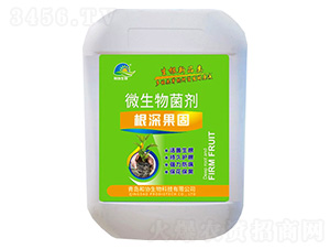 ΢�������-�������-�ͅf(xi��)����