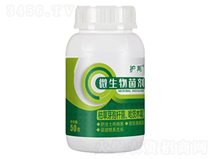 ΢�������-�o(h��)��-���r(n��ng)�r(n��ng)�I(y��)