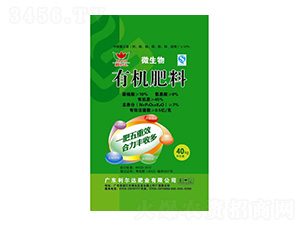 ΢�����ЙC����-�����_�ʘI(y��)