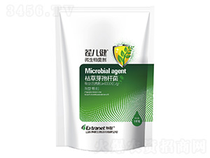 ΢�������-�烺��-��(li��n)����