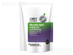 ΢�������-�ָ-��(li��n)����