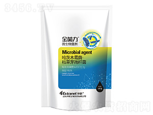 ΢�������-�����-��(li��n)����