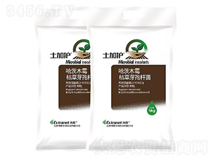 ΢�������-�����o(h��)-��(li��n)����