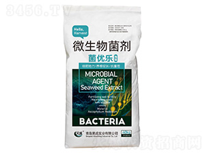 ����΢�������-����(y��u)��-껳Ɍ��I(y��)