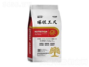 ����ֳ��ˮ�ܷ���-��������-�����S-��������