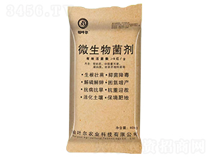 ΢�������-���~��