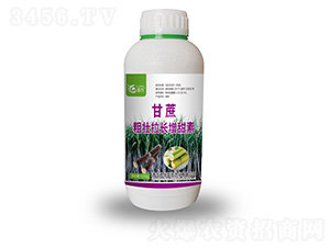 ����։����L(zh��ng)������-�Z�r(n��ng)-���A(li��n)��