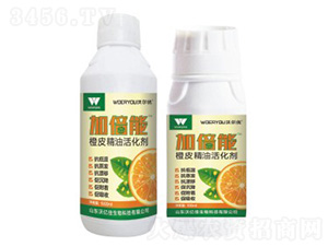 ��Ƥ���ͻ��-�ӱ���-�֠���(y��u)