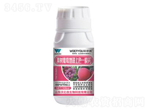 ��������������ɫһ���`-�֠���(y��u)