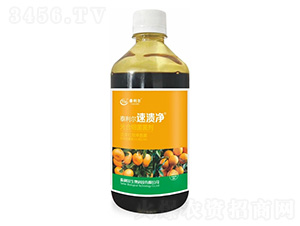 ��ϼ�(x��)������-�ٝ���-̩����