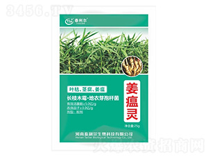 ΢�������-�����`-̩����