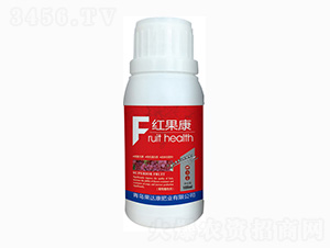 �t�����~���-���_(d��)���ʘI(y��)