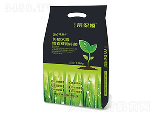 �籣ķ-̩����